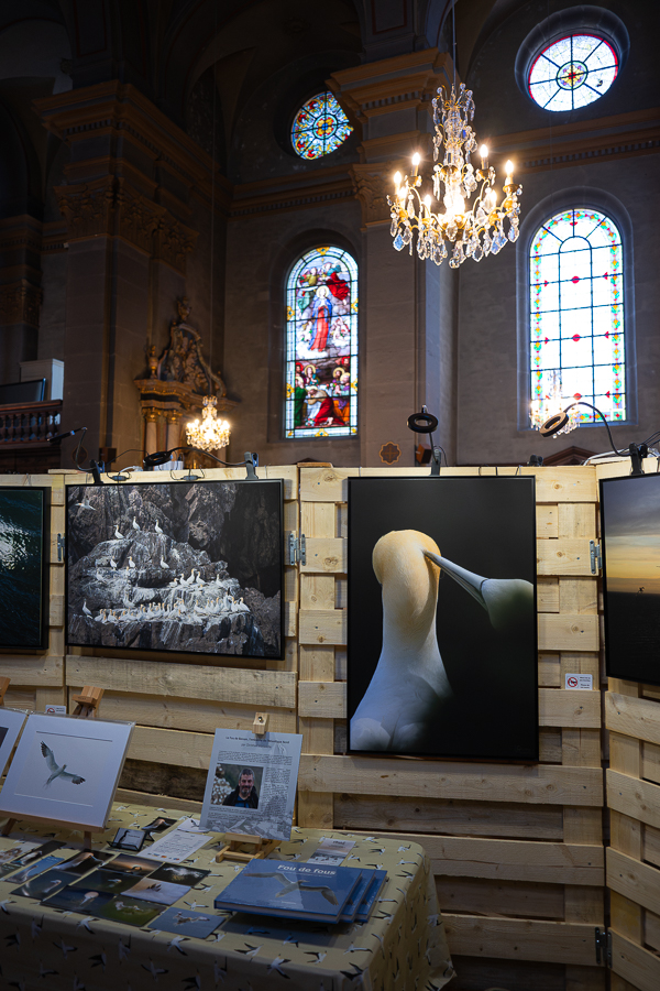 Maîche - Expo